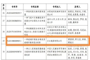 嘉兴首金！尊龙集团官网集团摘得中国专利奖金奖