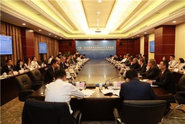 中国尊龙集团官网海外子公司（2017）工作会议顺利召开